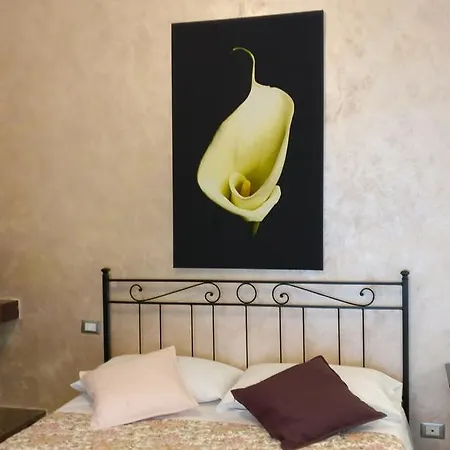 Szálloda Casamare