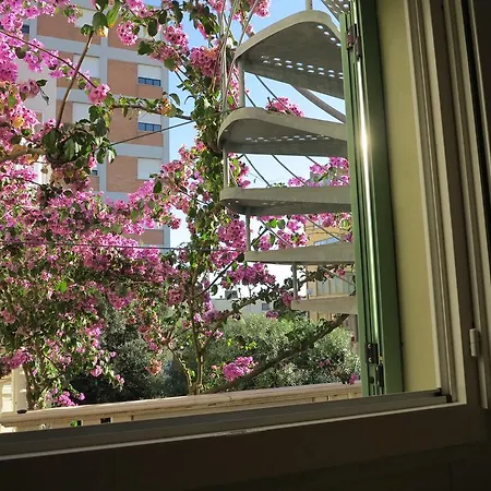 Hotel Casamare