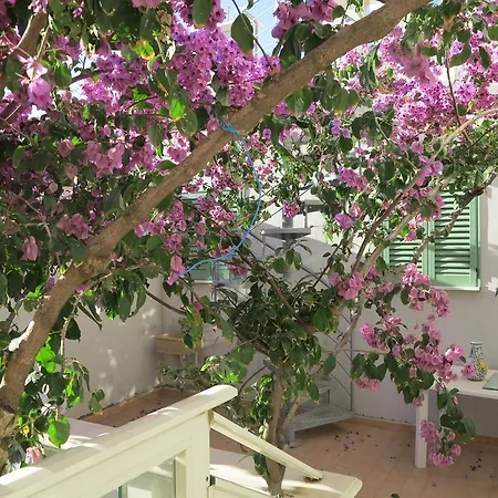Hotel Casamare 2*